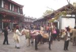 DSC01046.JPG